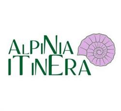 Agenzia Viaggi Alpinia