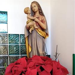 Mater Dei