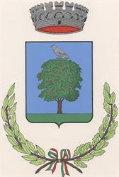 Comune Di Frasso Telesino