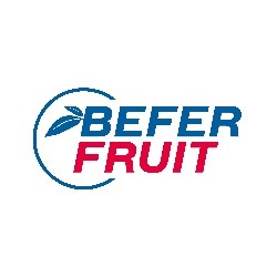 Befer Fruit