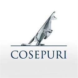 Cosepuri Soc. Coop. P.A. Divisione Merci