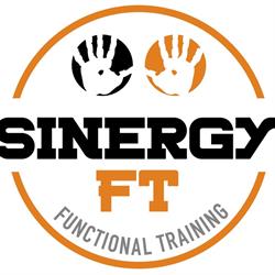 Palestra Sinergy FT