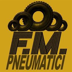 F.m. Pneumatici S.r.l.