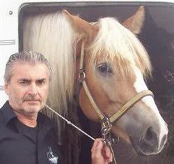 Horses & Fashion