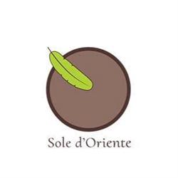 Sole D'Oriente Di Fugani Tania