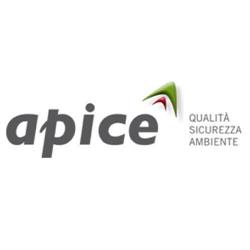 Apice S.r.l.