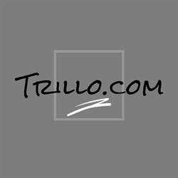 TRILLO.COM SRL SOCIETA' UNIPERSONALE