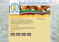 Sito di Orsini Ercole S.r.l.