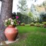 Gallery Professionale