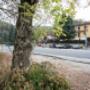 Gallery Professionale