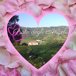 Azienda Agrituristica Prato Degli Angeli