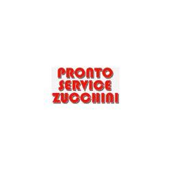 Pronto Service Zucchini