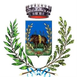Comune Di Vergato Centralino
