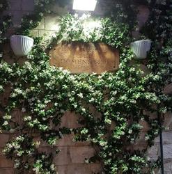 Taverna Dei Domenicani SRL Ristorante - Pizzeria