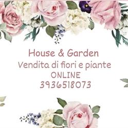 House & Garden SRL Piante e Fiori
