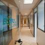 Eco Fly Immagine3