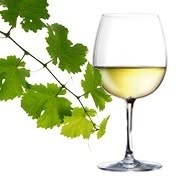 Enoteca ai Ronchi
