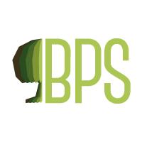 Bps SRL Sverniciatura Rinnovo Serramenti