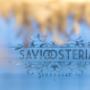 Gallery Professionale