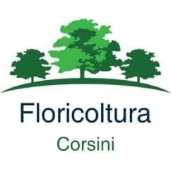 Floricoltura Corsini Societa' Agricola - S.S.