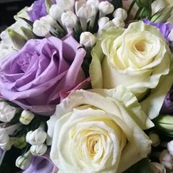 Fiori e Colori di Corsini Maria Rosa