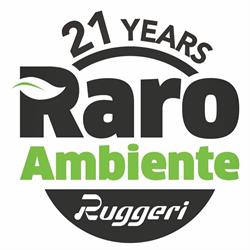 Raro Ambiente