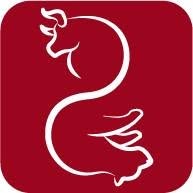 Borsari Casa Editrice Di Migliorino Paola E C.Sas - Borsari Edizioni