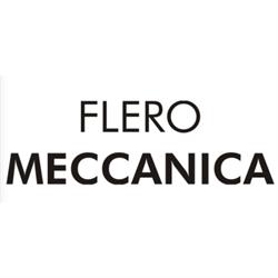 Flero Meccanica