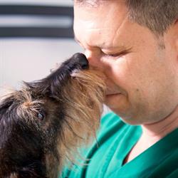 Ambulatorio Veterinario Di Moroni Massimo