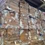 Brognoli Milena Servizi Ecologici