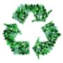 Brognoli Milena Servizi Ecologici