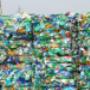 Brognoli Milena Servizi Ecologici