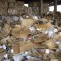 Brognoli Milena Servizi Ecologici