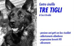 Centro Cinofilo Tre Tigli