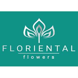 FLORIENTAL flowers