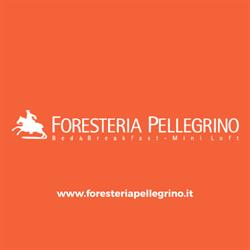 Bed & Breakfast Foresteria Pellegrino Gaia SRL