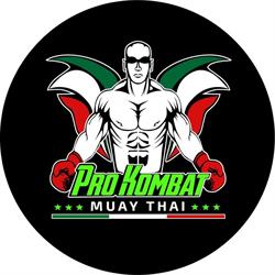 Pro Kombat