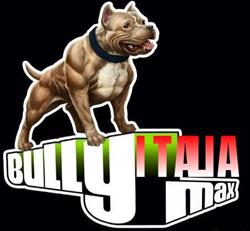 Bully Max Italia