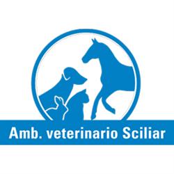 Ambulatorio Veterinario Schrott