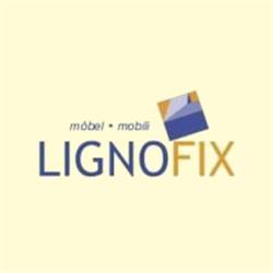 Lignofix di Werner Verginer