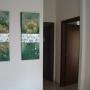 Nuova Fenice Srl