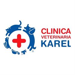 Clinica Veterinaria Karel Acm3 SRL