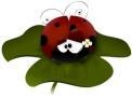Scuola Materna Le Coccinelle SRL