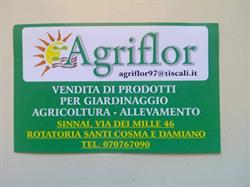 Agriflor Di Saddi & C. SNC