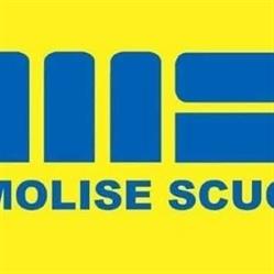 Amazon Counter - Molise Scuola