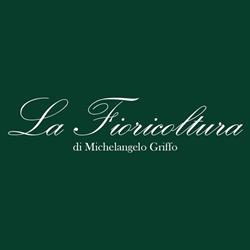 La Fioricoltura Griffo Michelangelo