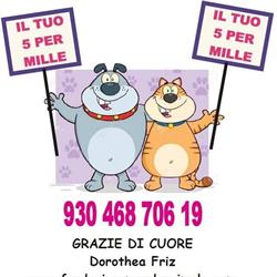 Lega Pro Animale