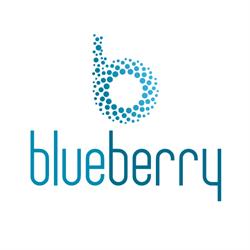 Blueberry S.r.l.