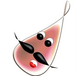 I Veri Sapori - Monsieur Gourmand