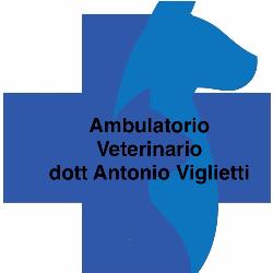 Ambulatorio Veterinario Dott Antonio Viglietti